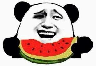娱乐圈吃瓜群众免费吃瓜,免费吃瓜,尽享明星幕后故事