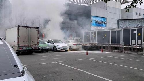 爆料海豚自燃视频播放下载,海豚自燃视频引发热议,真相令人震惊!  第2张 爆料海豚自燃视频播放下载,海豚自燃视频引发热议,真相令人震惊!  第2张